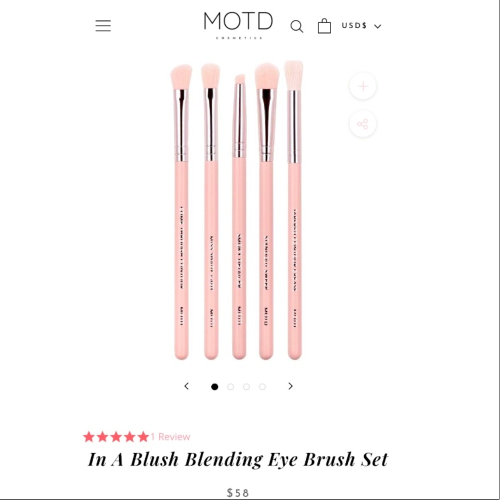 MODT blending eye brush set of 5 brushes